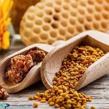تقویت مبارزه بدن